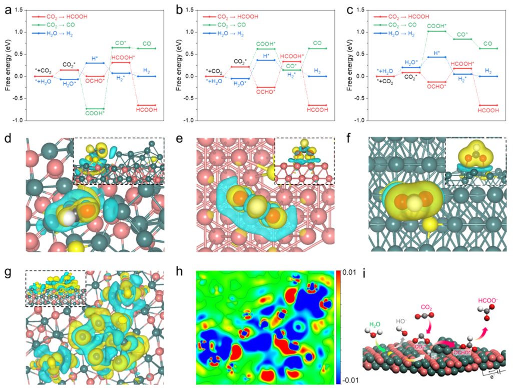 陳維&夏川ACS Catalysis: 原位動(dòng)態(tài)構(gòu)建Cu2SnS3催化劑用于電催化CO2還原