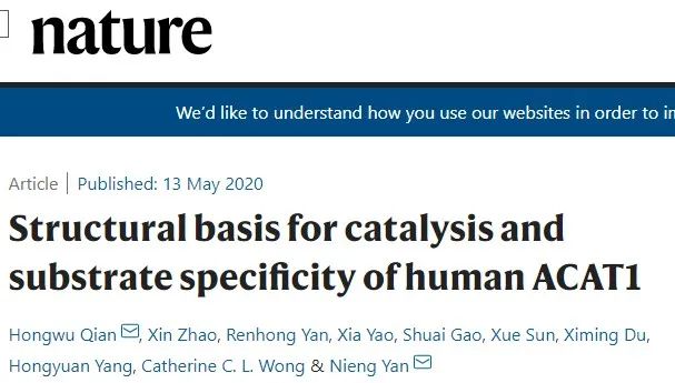 霸氣，繼Science背靠背，顏寧又兩篇Nature背靠背，爭取Cell背靠背……