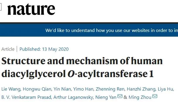 霸氣，繼Science背靠背，顏寧又兩篇Nature背靠背，爭取Cell背靠背……