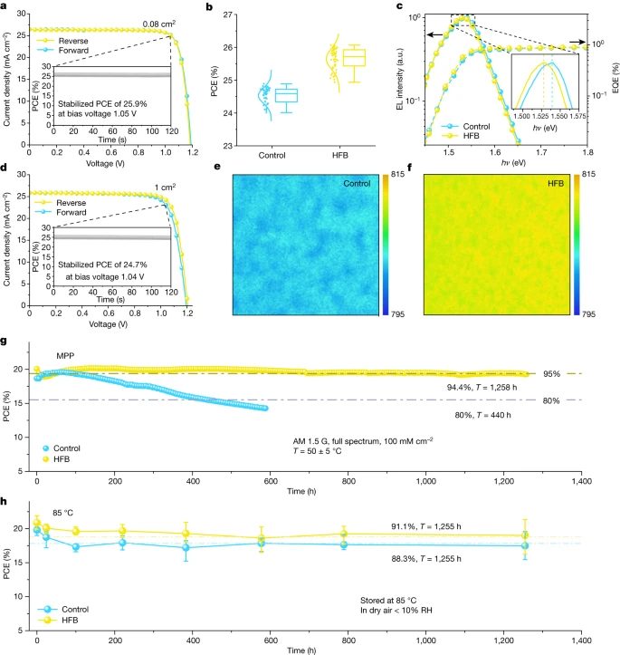 北京大學(xué)周歡萍，最新Nature！