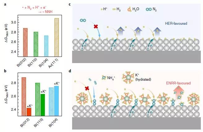 【頂刊】Nature Catalysis：鉍催化劑和K+協(xié)同提高電化學(xué)氮還原反應(yīng)選擇性和活性