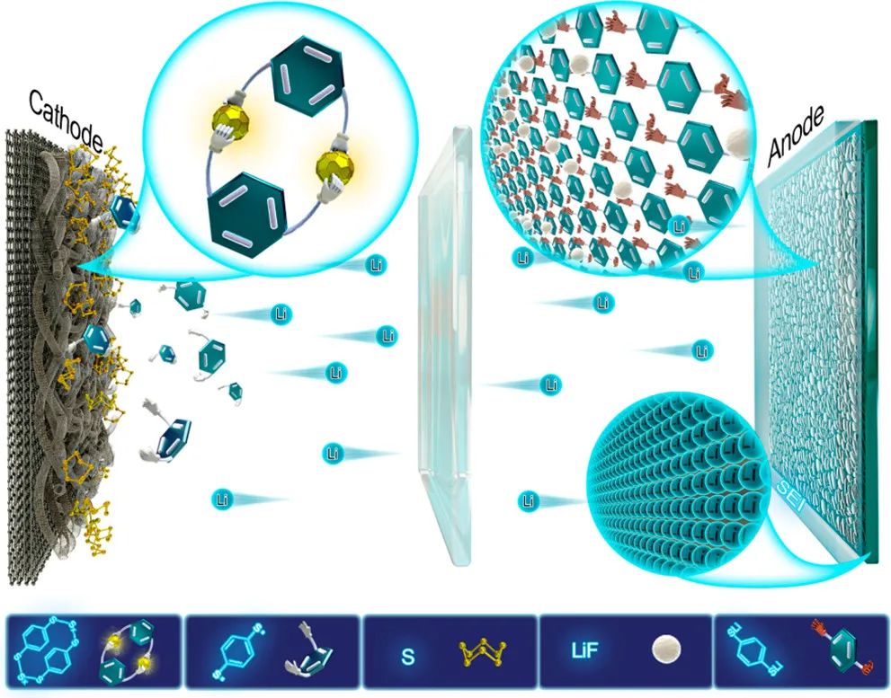 鄭大付永柱/郭瑋JACS: 用于改善可充電鋰硫電池界面化學(xué)的異構(gòu)有機(jī)二硫醇添加劑