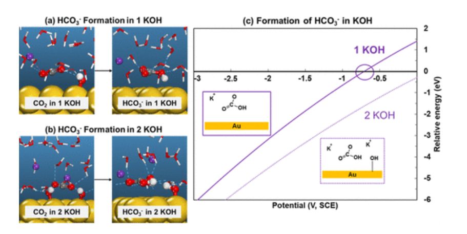 ACS Catalysis：KOH濃度的影響和OH–在CO2電催化還原中的作用