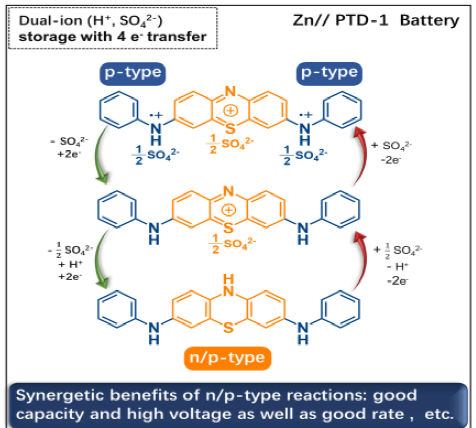 復(fù)旦大學(xué)王永剛Angew：n/p型吩噻嗪有機支架的分子定制助力鋅電池