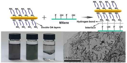 閆俊/王倩ACS Nano：多功能界面自組裝Ti3C2Tx MXene基復(fù)合材料實(shí)現(xiàn)優(yōu)異的鋰和鈉存儲(chǔ)