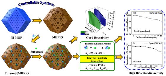 【動(dòng)態(tài)】陜師大蔣育澄教授課題組：基于MOFs設(shè)計(jì)構(gòu)筑多級(jí)孔NiO制備高效、穩(wěn)定的納米酶反應(yīng)器