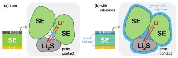 【動態(tài)】Advanced Energy Materials 溶劑-固態(tài)電解質(zhì)助力高性能全固態(tài)Li-S電池