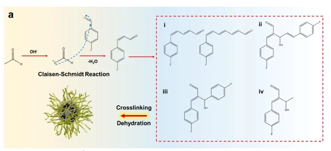 ?中南紀(jì)效波ACS Nano：定制Li+動力學(xué)和界面氟化以獲得穩(wěn)定的固體鋰電池