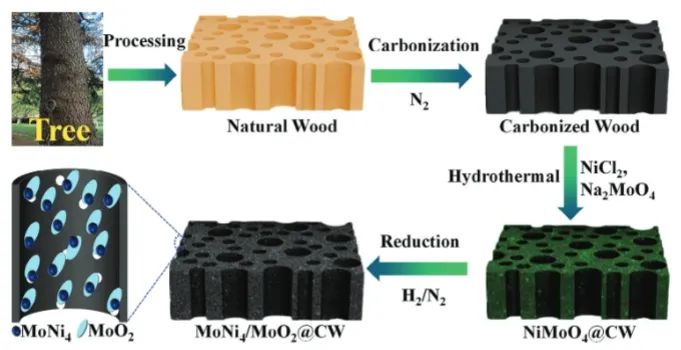 ?華南理工大學(xué)AFM：多孔炭化木材上構(gòu)建MoNi4/MoO2納米片，用于高效催化水分解產(chǎn)氫