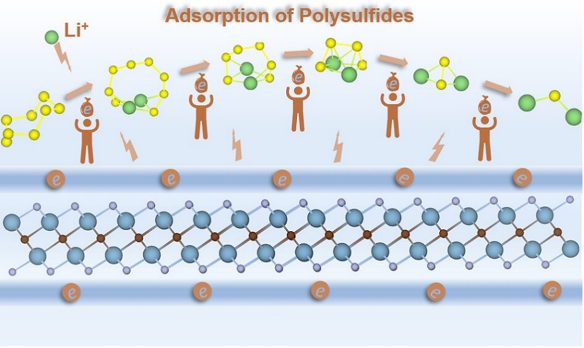 JPCL快訊｜電子化合物新領(lǐng)域：陰離子電子調(diào)控助力鋰硫電池