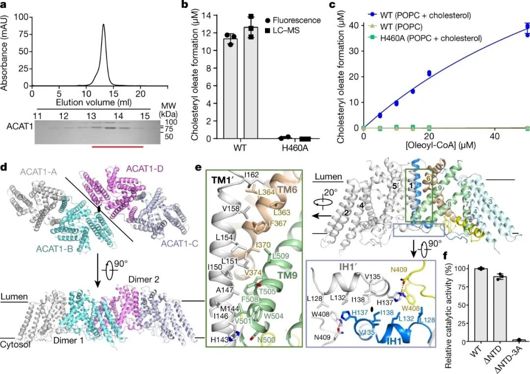 霸氣，繼Science背靠背，顏寧又兩篇Nature背靠背，爭取Cell背靠背……