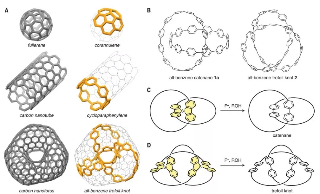 今日Science：拓撲分子納米碳：全苯索烴和三葉形紐結(jié)