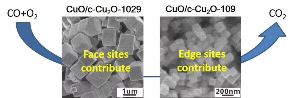 中科大Angew. 催化活性位點(diǎn)分辨的納米晶模型催化體系研究取得重要進(jìn)展