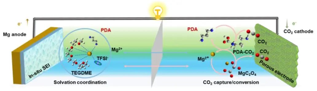 郭再萍/王澳軒等，最新Angew！Mg-CO2電池新突破！