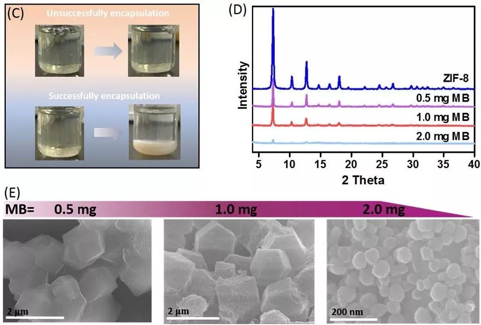 中山大學Angew. 玩轉MOFs，快速高效封裝酶和蛋白質