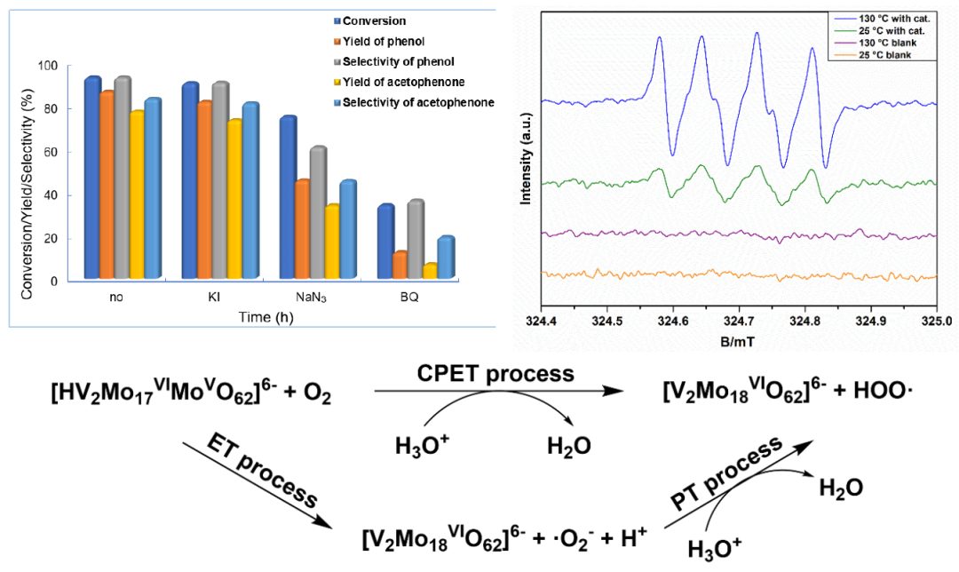 ACS Catalysis封面：開發(fā)新型Dawson結(jié)構(gòu)雜多酸實(shí)現(xiàn)木質(zhì)纖維素高效轉(zhuǎn)化