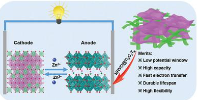 AFM：基于Ti3C2Tx-MXene納米片和水合釩酸銨納米帶的無(wú)鋅負(fù)極