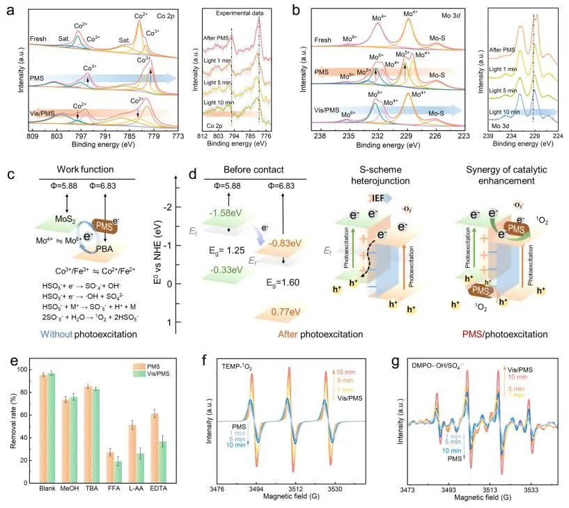 王威/劉冬梅Nature子刊：PBA/MoS2@CSH高效催化PMS！