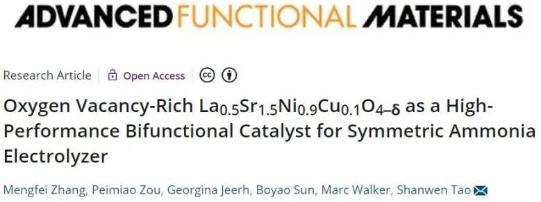 催化頂刊集錦：Angew./JACS/AFM/ACS Catal./Small等最新成果