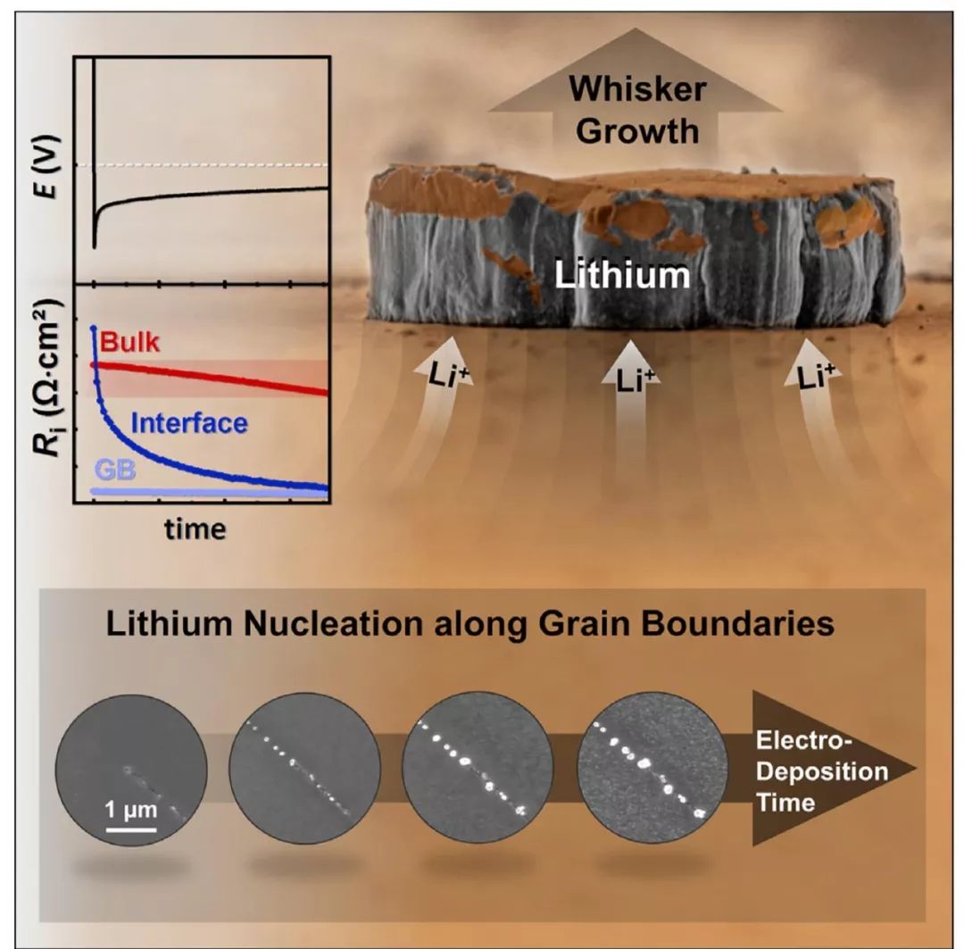 【鋰電】Joule：當(dāng)鋰金屬負(fù)極與石榴石型固態(tài)電解質(zhì)親密接觸，如何構(gòu)建無枝晶鋰負(fù)極？