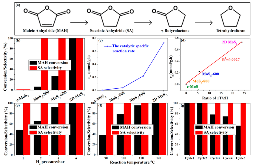 婁陽ACS Catalysis：二維 1T-MoS2邊緣位點(diǎn)促進(jìn)馬來酸酐選擇性加氫