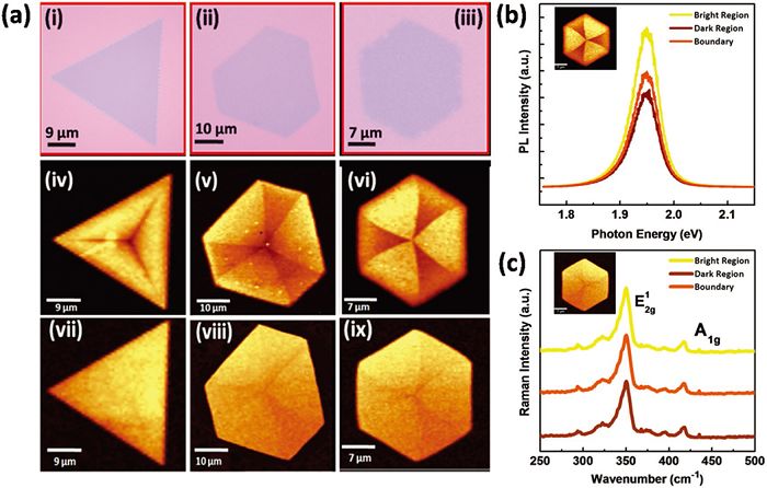 呂俊鵬＆倪振華AFM：影響二維過渡金屬硫化物生長的關(guān)鍵因素是什么？