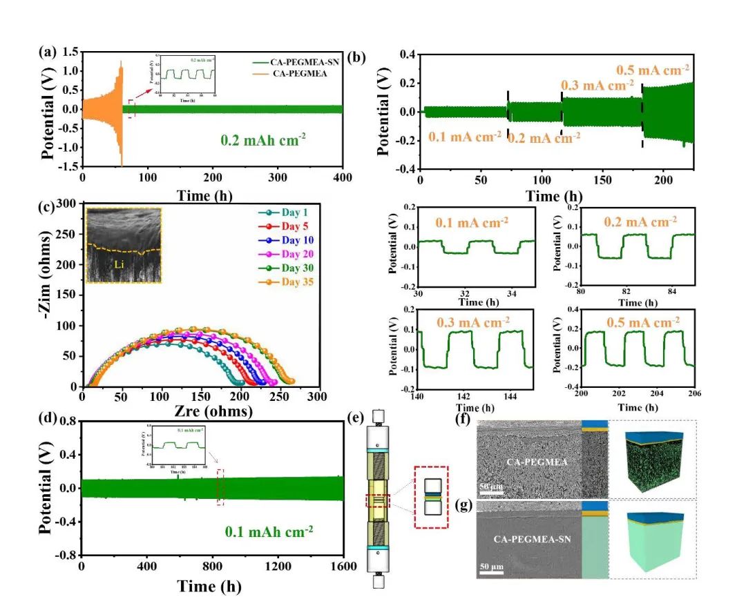 東北師大/加拿大西安大略大學(xué)Nano Energy：超薄耐高電壓雙相固態(tài)聚合物電解質(zhì)