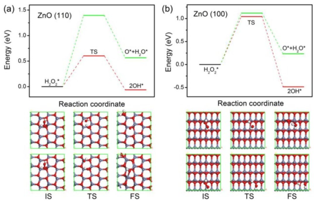 【計(jì)算論文深度解讀】密度泛函研究硫族化鋅上H2O2的高效解離和形成機(jī)制