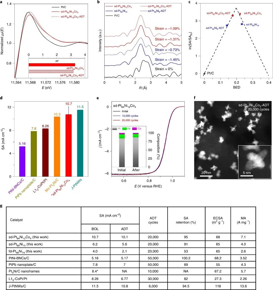 黃昱教授等人，最新Nature Catalysis！