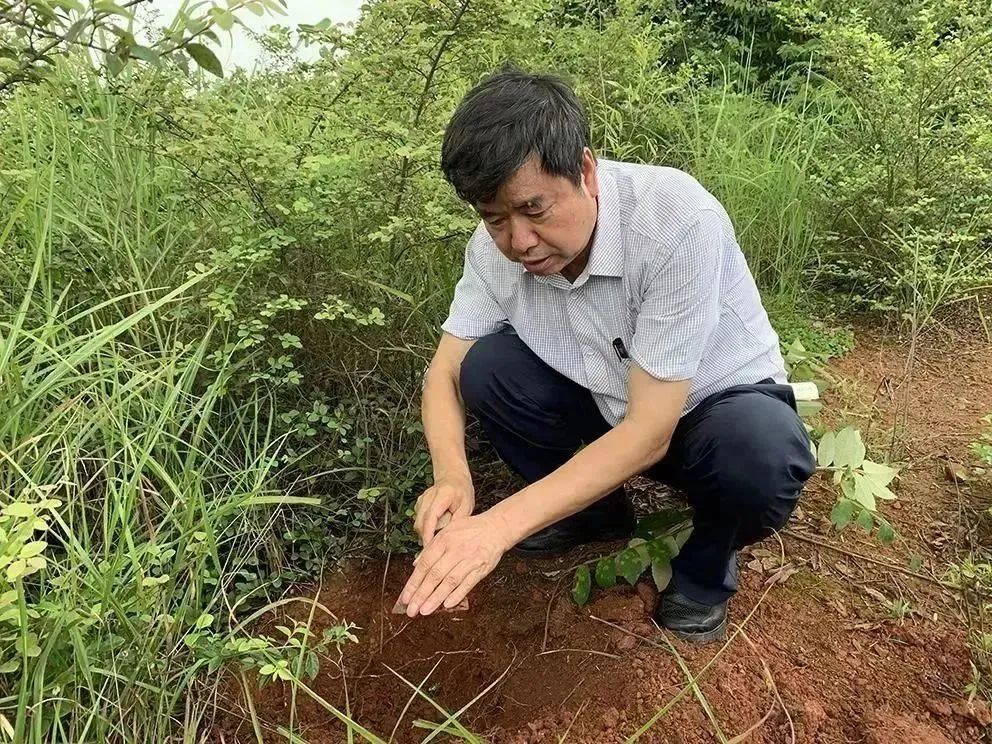 下一輪“雙一流”，11所高校有望升級！