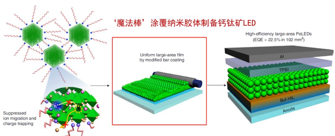 大神的對手就是他自己！用‘魔法棒’發(fā)Nature子刊，超級簡單且有效的技術(shù)！