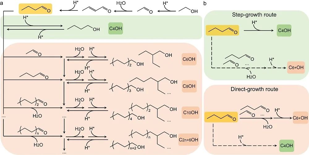 熊宇杰/王鐵軍/仇松柏，最新Nature子刊！