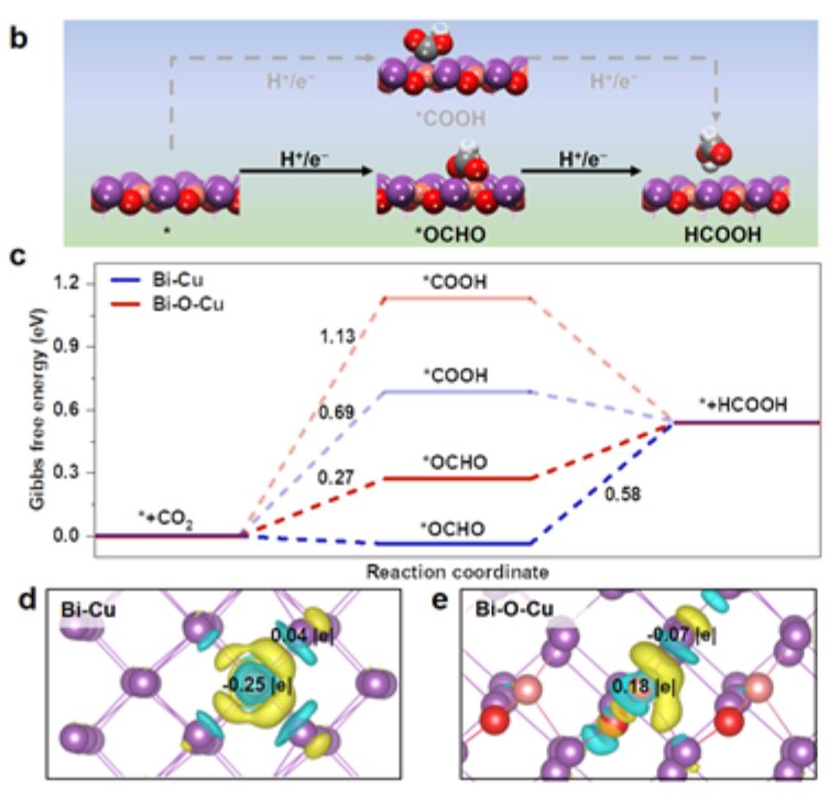 【計(jì)算+實(shí)驗(yàn)】頂刊案例解讀：Angew、Nature子刊、Adv. Sci. 、Nano Energy、AM、AFM等最新成果！