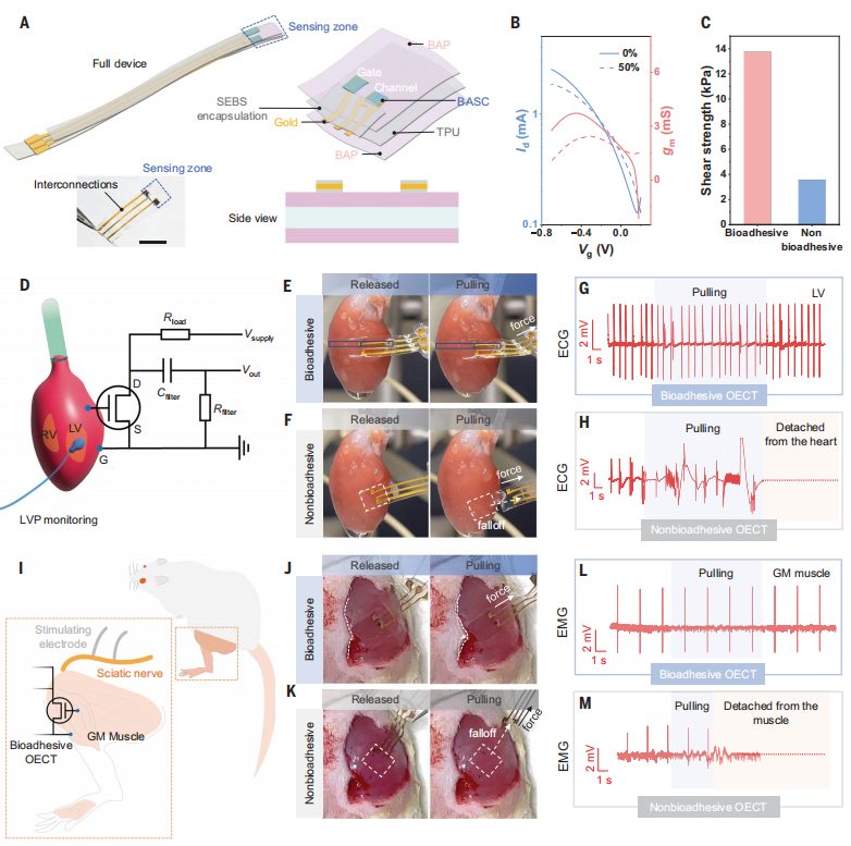 他，時(shí)隔三月，發(fā)完Nature Materials再發(fā)Science！