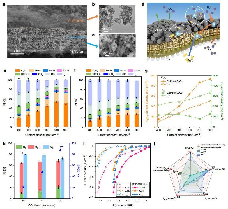 重磅！Edward H. Sargent院士，再發(fā)Nature Nanotechnology！