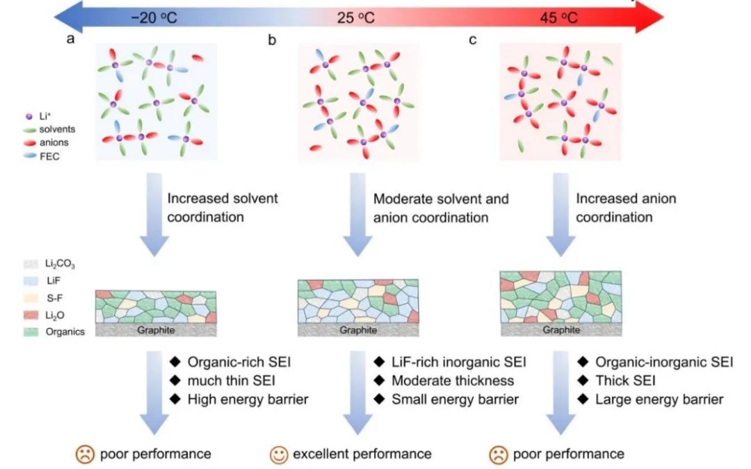 復旦夏永姚EES：石墨負極的溫度響應溶劑化結構及界面化學研究