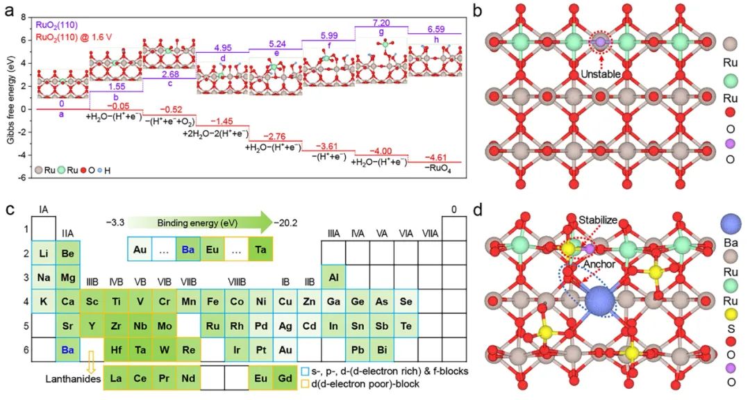 JACS后，又發(fā)Nature子刊！KAUST盧旭團(tuán)隊(duì)：陰離子保護(hù)，助力釕基質(zhì)子交換膜電解水制氫