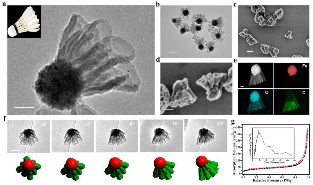 ?趙東元院士，最新JACS！