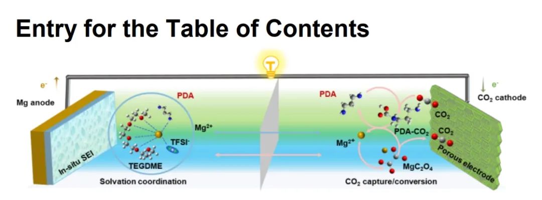 ?郭再萍Angew：酰胺介導(dǎo)的二氧化碳捕獲化學(xué)和 Mg2+ 導(dǎo)電固態(tài)電解質(zhì)中間層實現(xiàn)穩(wěn)定鎂-二氧化碳電池
