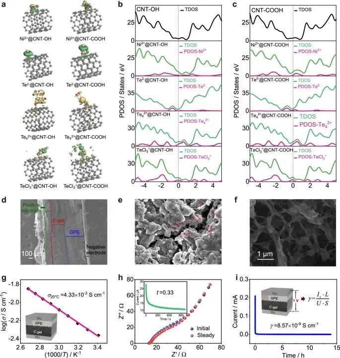 ?北科焦樹強(qiáng)等，最新Nature子刊！