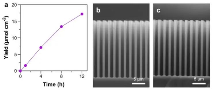 楊培東院士團隊，最新JACS！