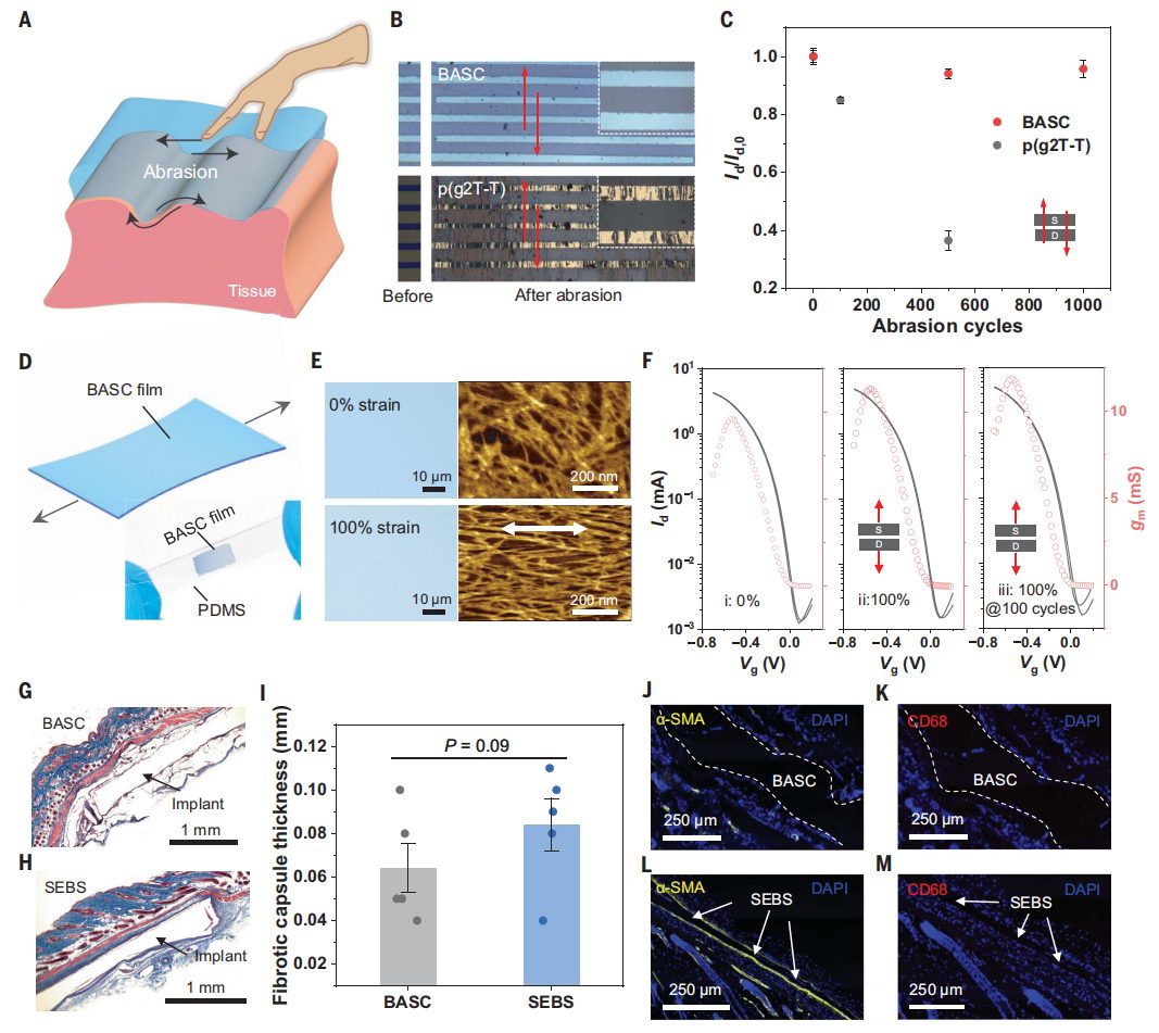 他，時(shí)隔三月，發(fā)完Nature Materials再發(fā)Science！