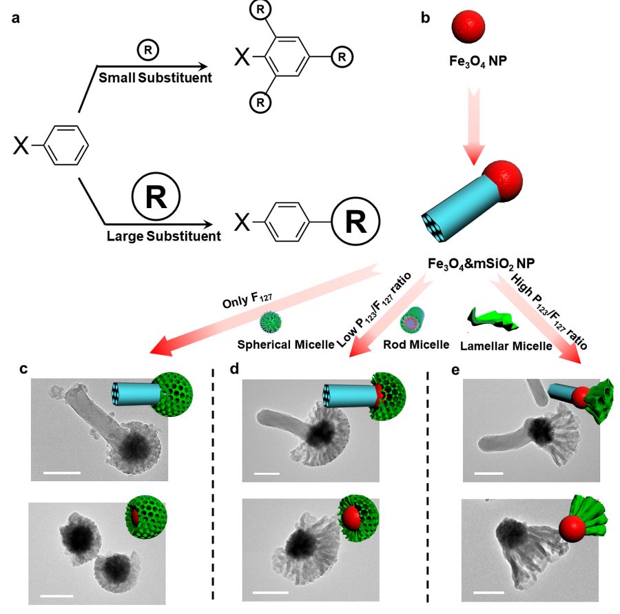 ?趙東元院士，最新JACS！