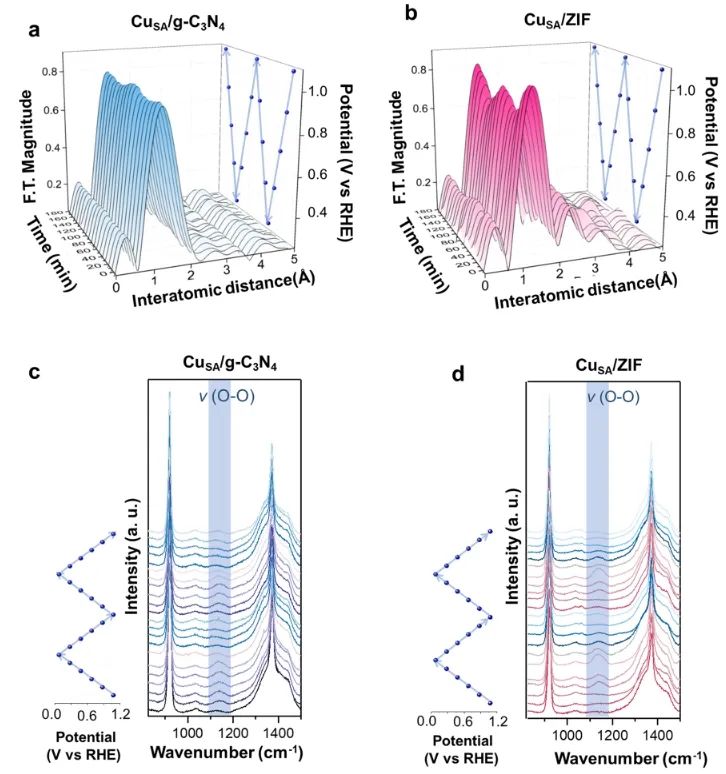 臺(tái)灣大學(xué)JACS：原子催化劑構(gòu)型的可逆調(diào)整，實(shí)現(xiàn)高效氧電還原