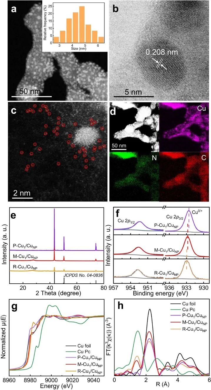 一周兩篇頂刊！韓布興院士等人連發(fā)JACS、Nature子刊！