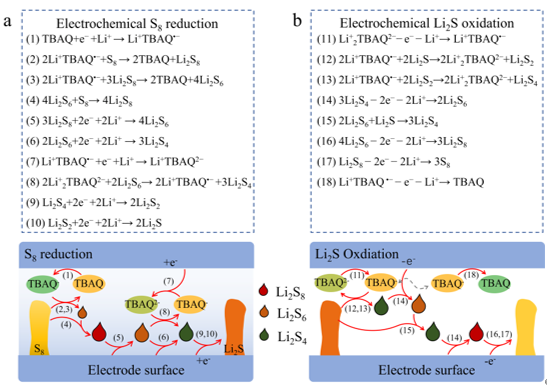 【DFT+實(shí)驗(yàn)】河南大學(xué)趙勇團(tuán)隊(duì)Angew：半醌雙功能液相催化劑構(gòu)建S?Li2S固/液/固反應(yīng)路徑提升鋰硫電池性能新進(jìn)展