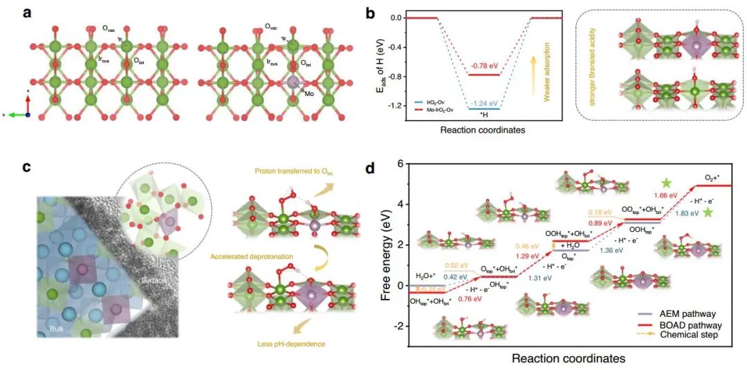 ?【DFT+實(shí)驗(yàn)】天大/西交Nat. Commun.：重構(gòu)Ir-O-Mo，助力酸性水氧化！