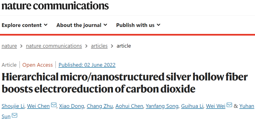 孫予罕/魏偉Nat. Commun.：分級(jí)微/納米結(jié)構(gòu)Ag中空纖維促進(jìn)CO2電還原