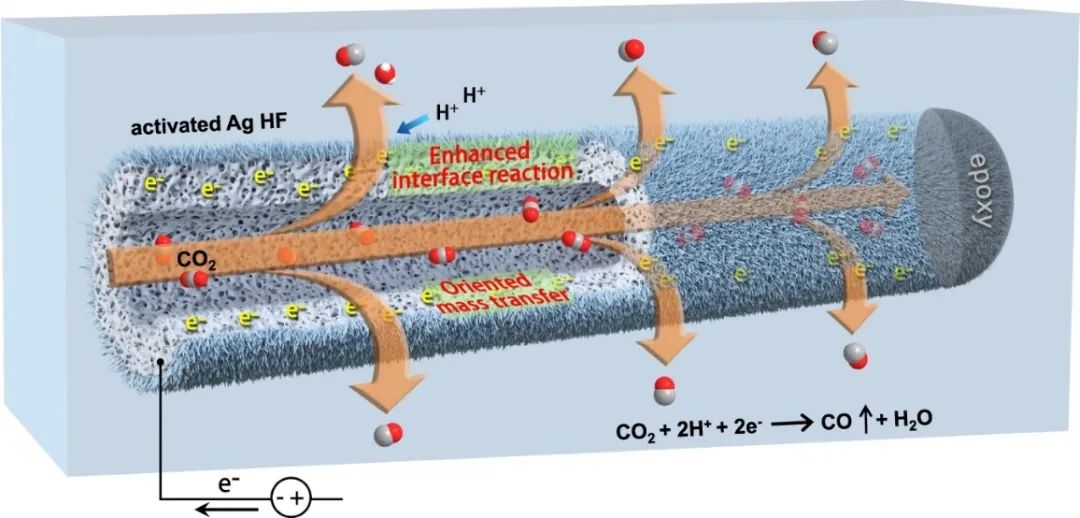 孫予罕/魏偉Nat. Commun.：分級(jí)微/納米結(jié)構(gòu)Ag中空纖維促進(jìn)CO2電還原