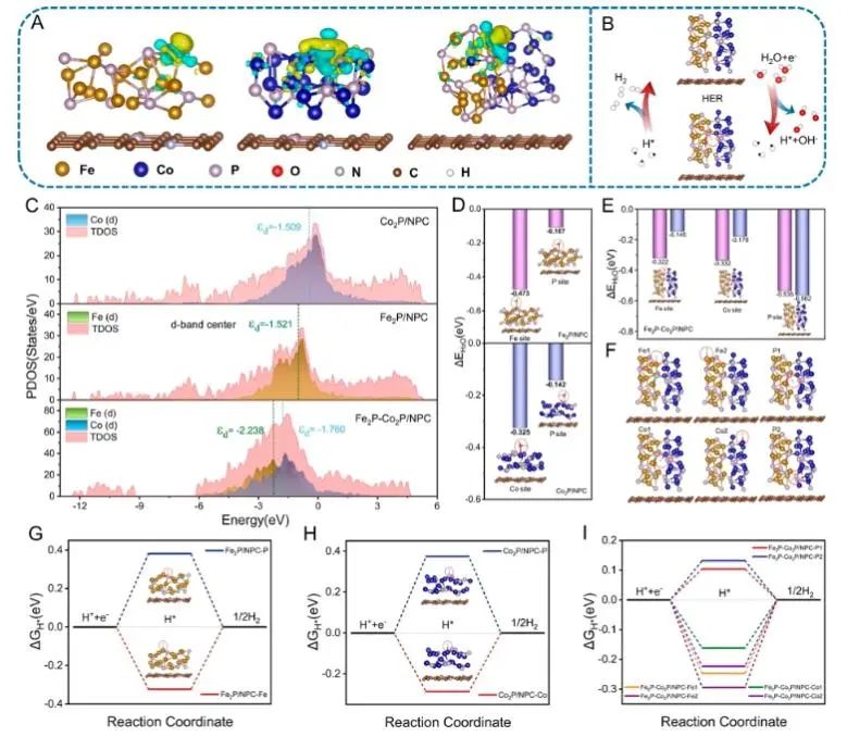 云南大學(xué)ACS Nano：Fe2P-Co2P異質(zhì)結(jié)構(gòu)立大功，助力構(gòu)建高效耐用陰離子交換膜水電解槽